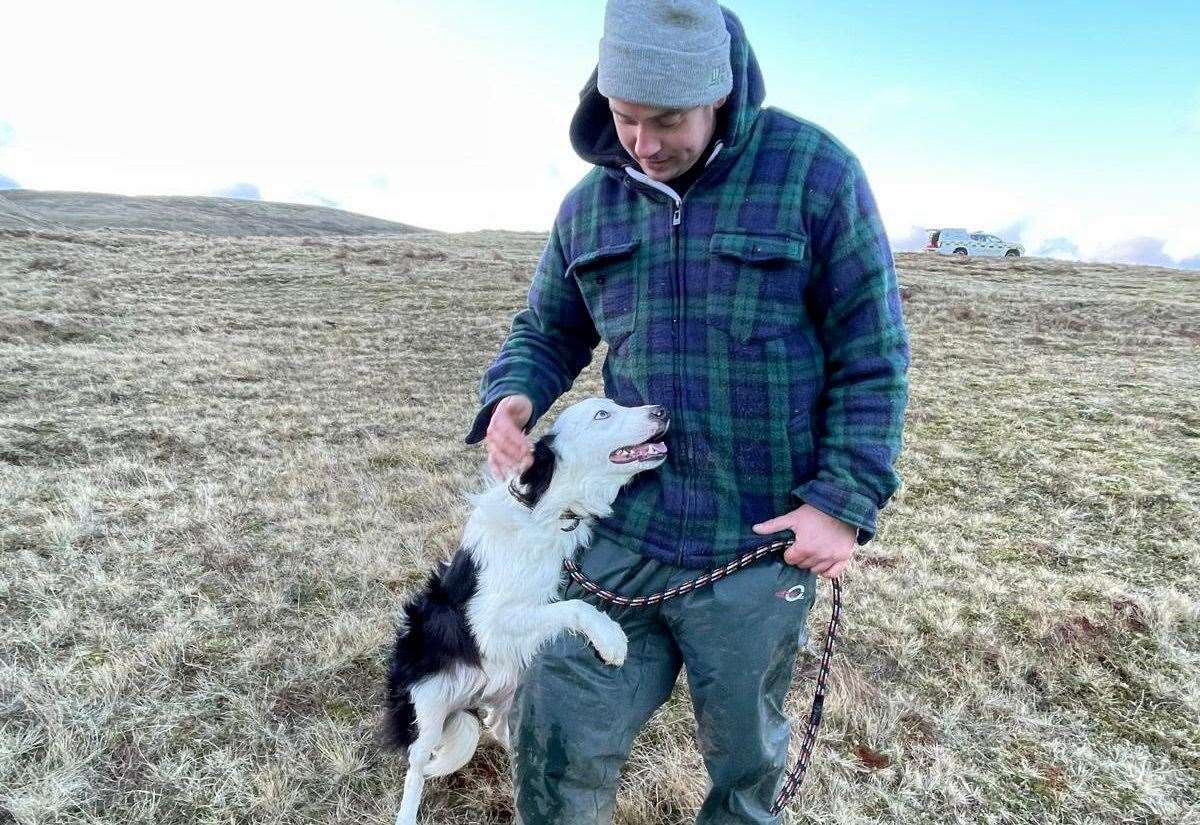 happy-ending-for-whisp-the-collie-dog-rescued-from-30-metres-down-a-cliff