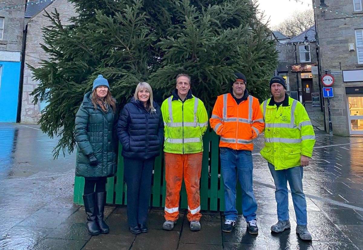 christmas-tree’s-arrival-marks-start-of-full-programme-of-family-friendly-festive-fun