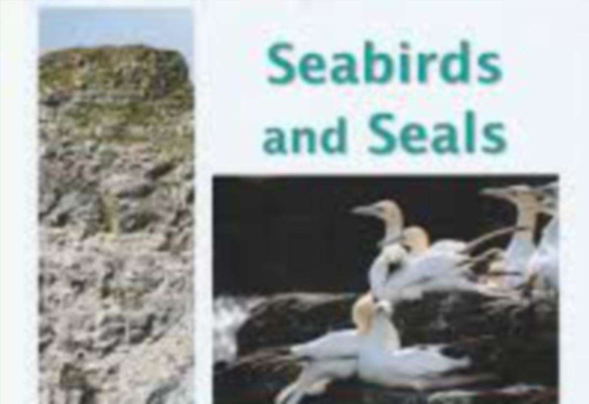 second-edition-of-seabirds-and-seals-to-be-launched-next-month