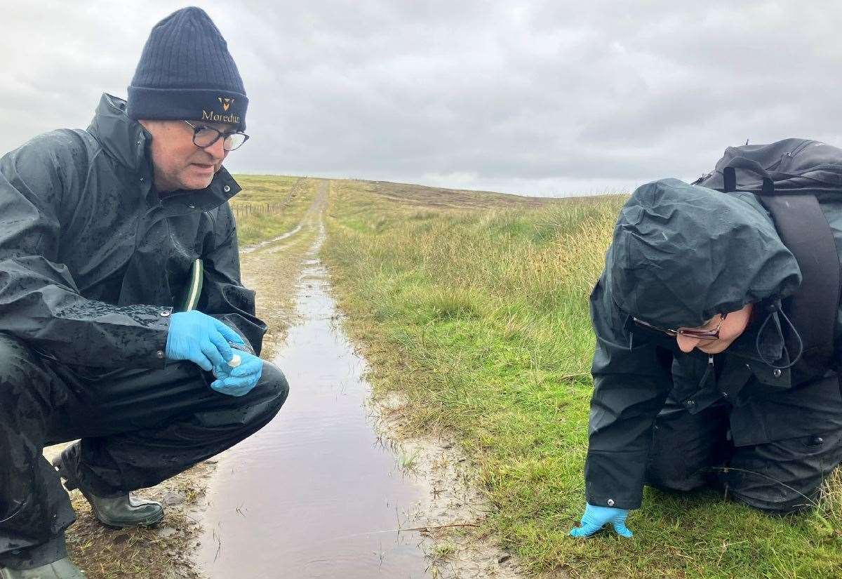 sheep-disease-concerns-over-peat-restoration-are-eased