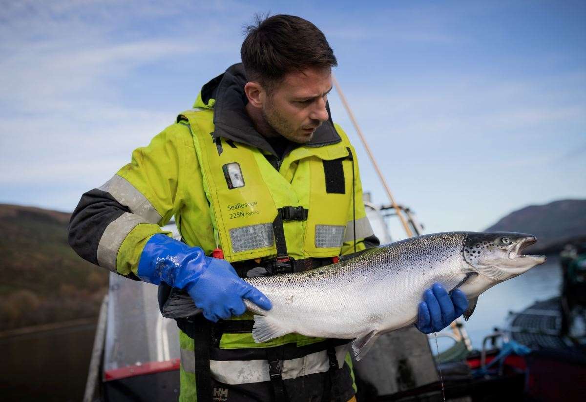 ‘shetland’-named-in-updated-protected-status-for-scottish-salmon,-but-not-‘farmed’